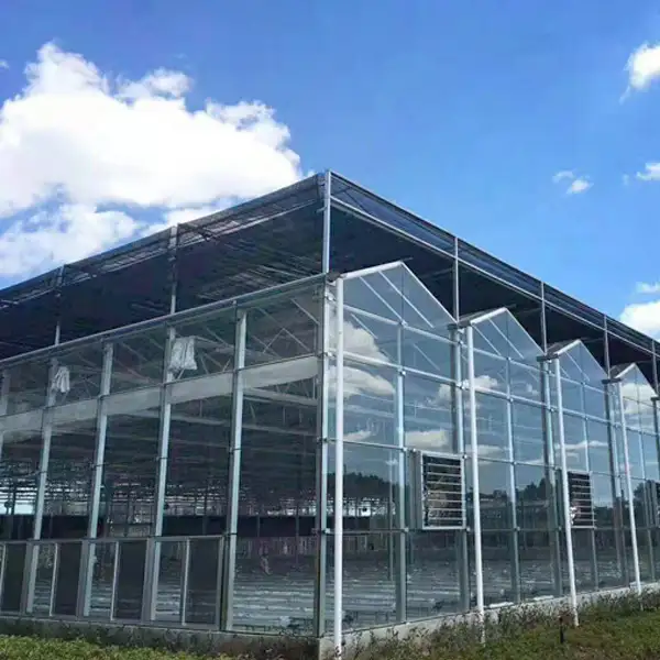 智能温室大棚解决方案